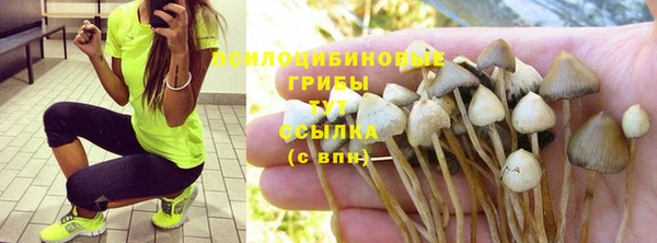 дурь Алексин