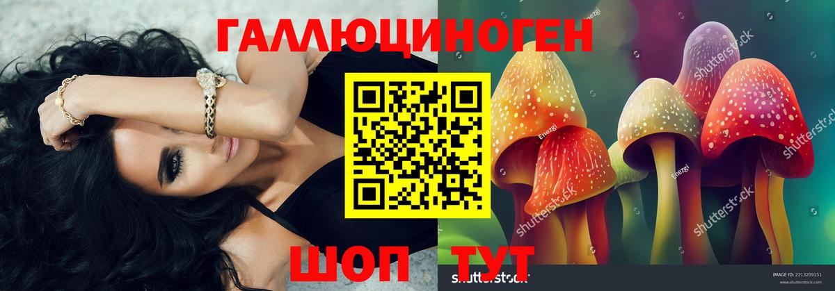 Псилоцибиновые грибы Psilocybe  Галлюциногенные грибы ЛСД  Вход с VPN  Боровичи 